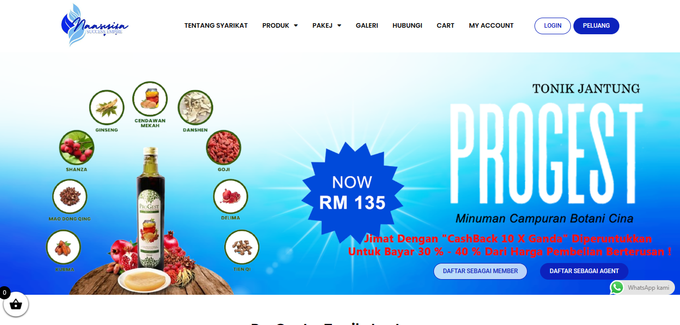 Placeholder image for Naasyifa Success Empire Sdn Bhd
