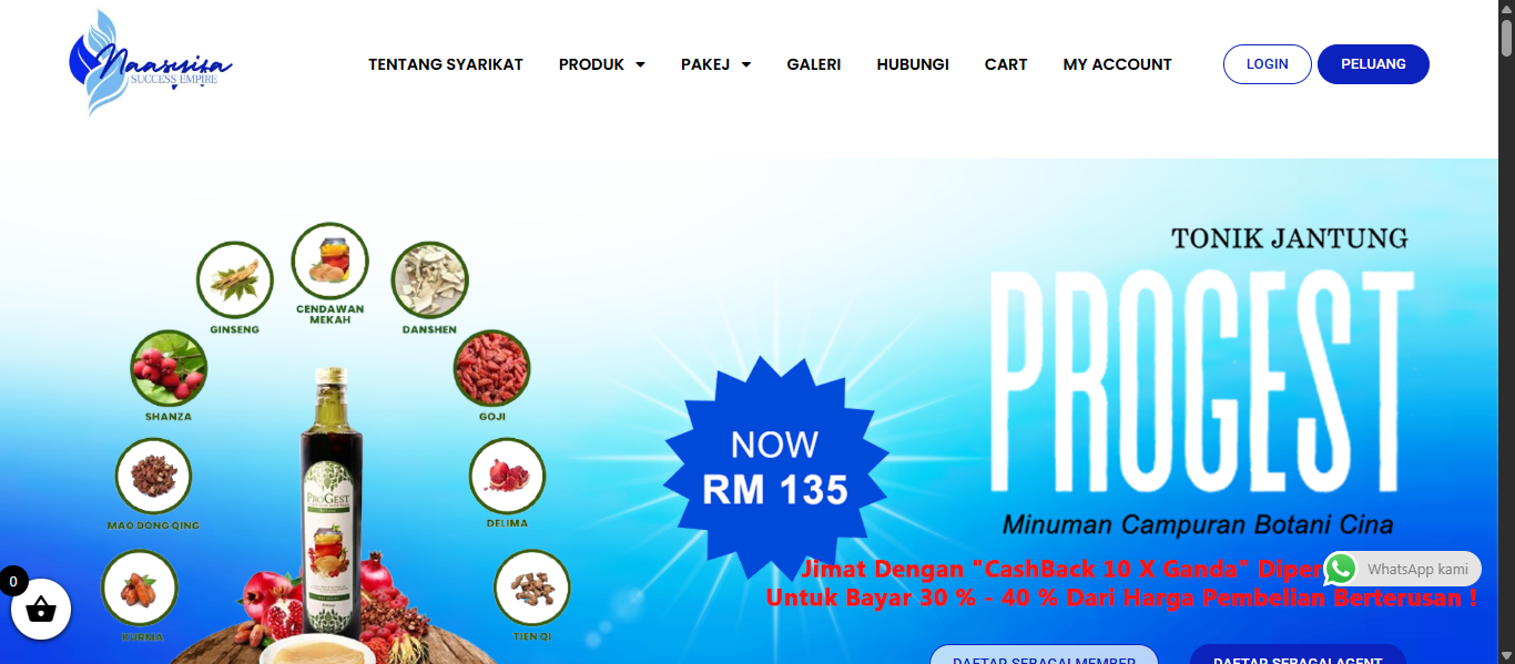 Naasyifa Success Empire Sdn Bhd
